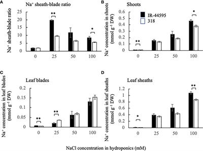 QTL analysis for sodium removal ability in rice leaf sheaths under salinity using an IR-44595/318 F2 population